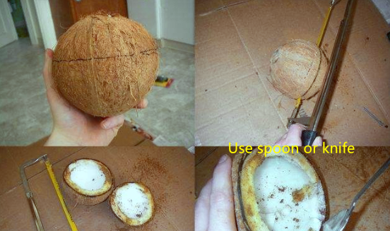process for making coconut bowl