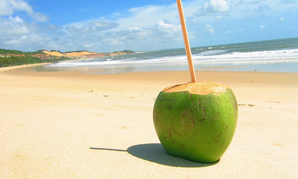 coconut water