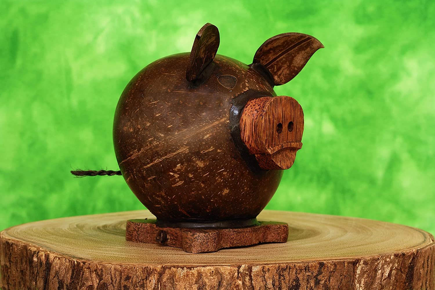 coconut pig coin canner